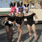resized_DSC_0041