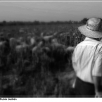 Paciencia