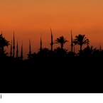 skyline