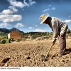 No hay