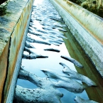 EL DESCANSO DE LA ACEQUIA MAYOR