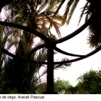 Rueda de riego