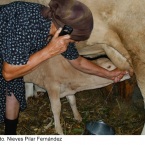 2012-Nieves-Pilar-Fernandez.-Progresando