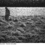 2012-Vicente-Gonzalez.-La-soledad-del-llaurador