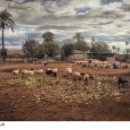 2012-Vicente-Guill.-Matola