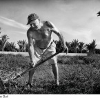 2012-Vicente-Guill.-Segant