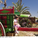2013-Damunt-del-carro.-Jose-A-Mora