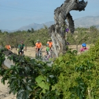 XI Volta a Matola en Bici - 2017