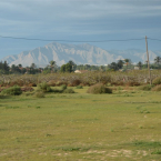 DSC_1044