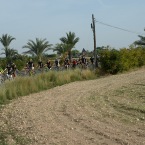 DSC_6484