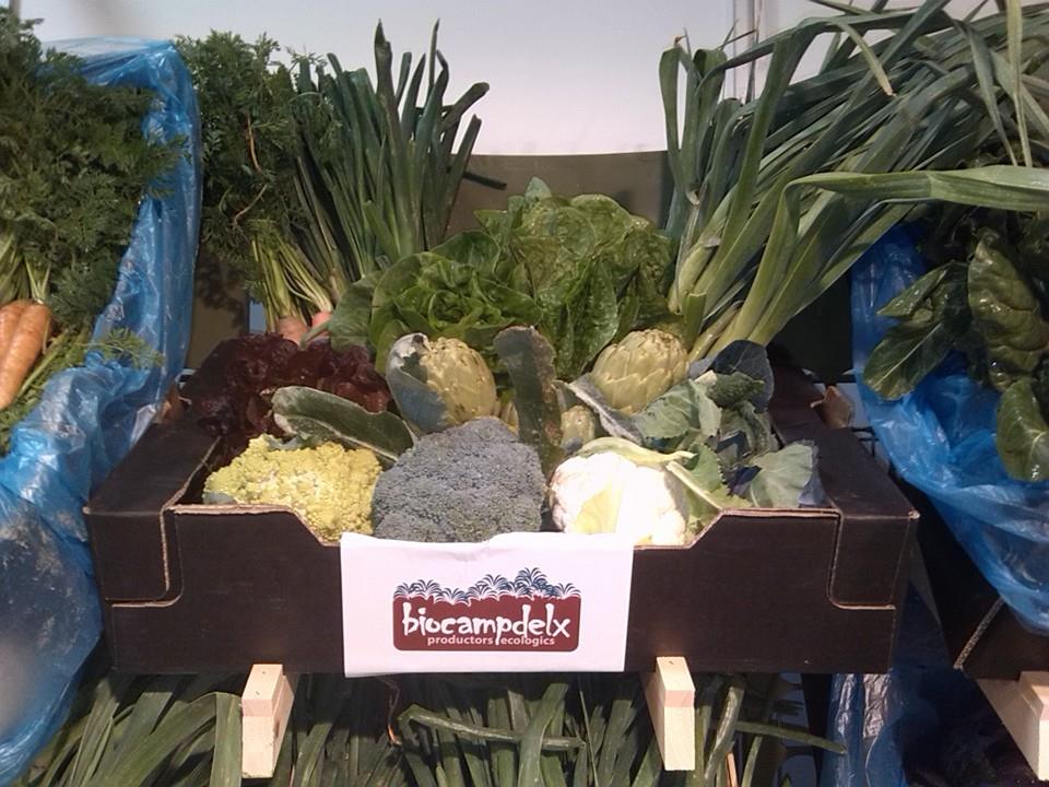 1911773_432108593588437_503537032_n